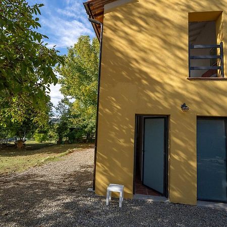 Agriturismo La Valle Peccioli Ngoại thất bức ảnh