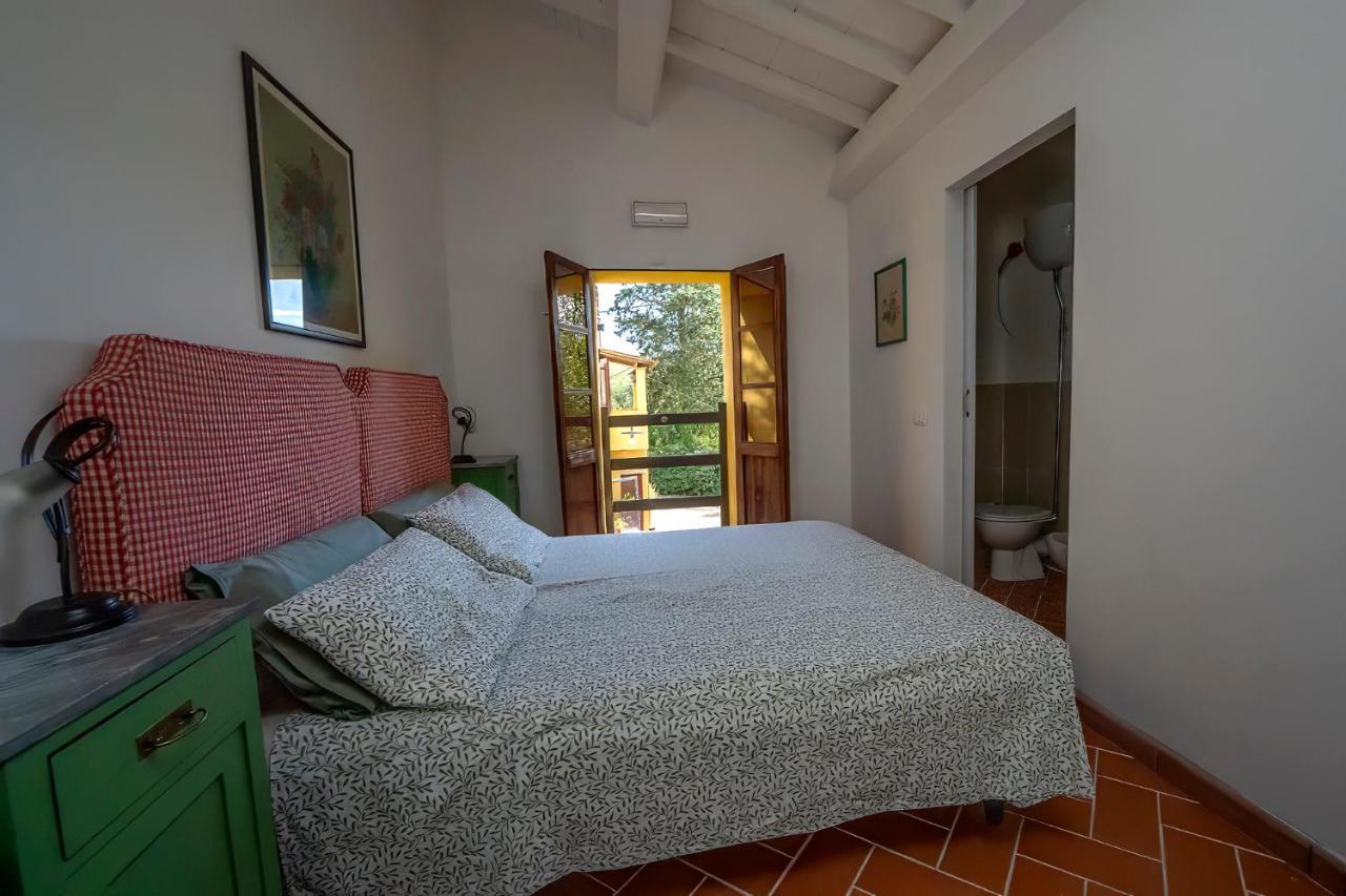 Agriturismo La Valle Peccioli Ngoại thất bức ảnh