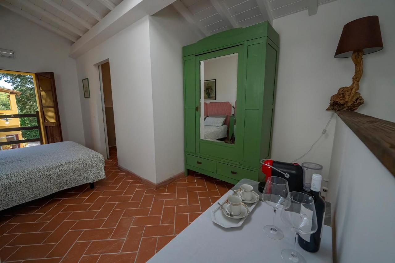 Agriturismo La Valle Peccioli Ngoại thất bức ảnh